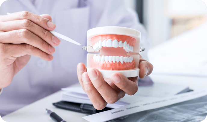 歯の模型を手にもって器具をあてている写真